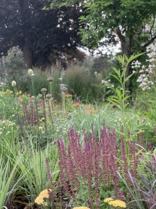 Avondale-12-IMG 1707