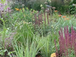 Avondale-13-DA49C968-8A77-4988-887E-A4DF6EAB3A15