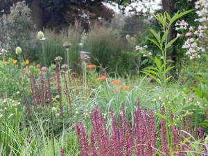 Avondale-14-A943867C-E441-4FED-8A9A-EDE6B4187A6B