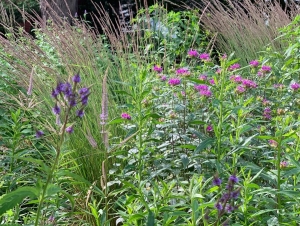 Avondale-17-55B315F6-E7EE-4A7F-A097-405CD902C6B7