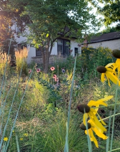 Avondale-23-IMG 2664