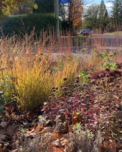 Avondale-27-0F0F4684-1CFD-406B-9FC6-6563F69D61E6